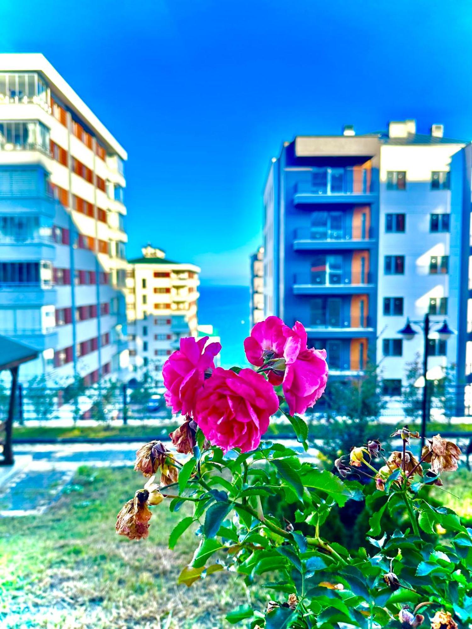 Bazalt Apart Hotel Trabzon Exterior photo